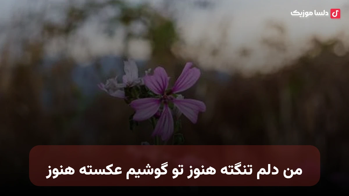 من دلم تنگته هنوز تو گوشیم عکسته هنوز